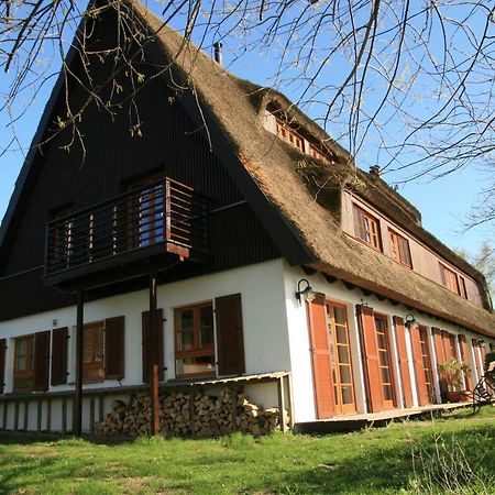 Der Fuchsbau Villa Meesiger Exterior photo